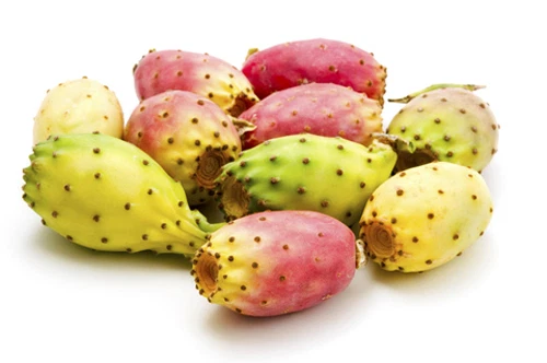 Prickly Pear Oil - 32ml - Southern American - Opuntia Ficus Indica Seed Oil - Image 3 of 4