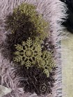 4 Ft Cream Tree & Bronze christmas ornaments, Snowflakes, Velvet Bows  46 Pcs — photo 8