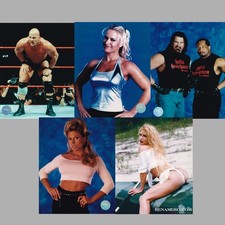 10 x WWF WWE Licensed Racing Reflections 10x8 Photos Stone Cold APA Molly Terri