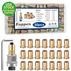 50pcs 1/4-20 Rivet Nuts Set with Hand Tool Carbon Steel Threaded Insert Kit