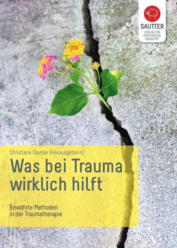Thumbnail - Was Bei Trauma Wirklich Hilft | Christiane Sautter | 2016 | Deutsch