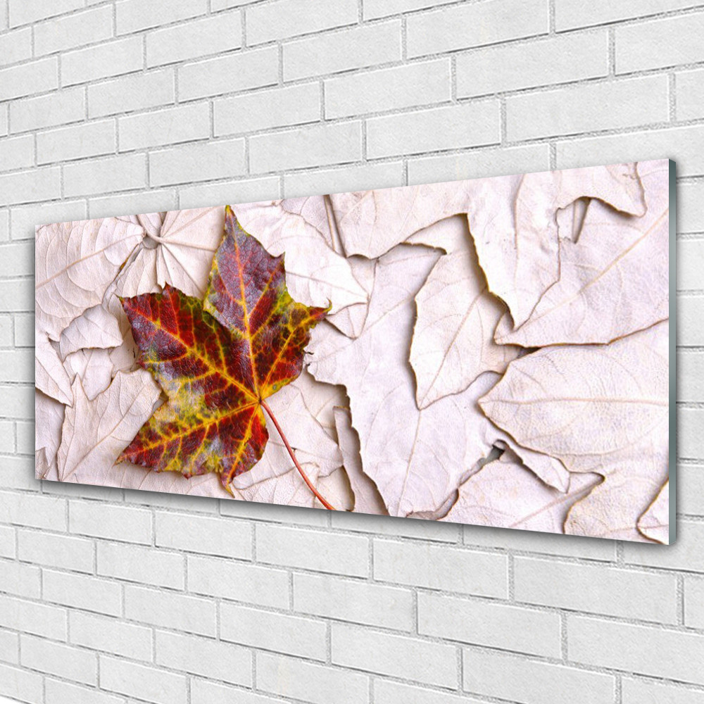 Image sur verre acrylique feuilles design 125x50 cm pour créer un salon zen