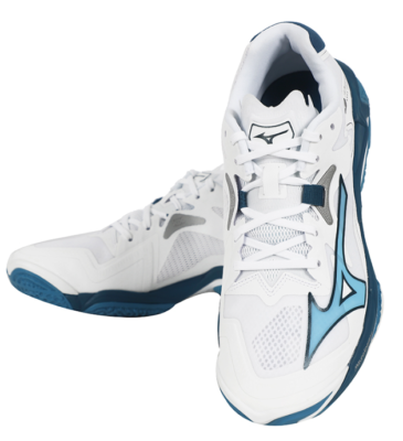 Mizuno Wave Lightning Z8 Men's Volleyball Shoes Badminton Shoes
