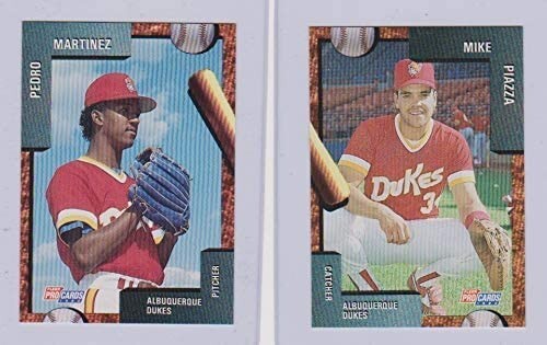 1992 ALBUQUERQUE DUKES TEAM Card SET MIKE PIAZZA PEDRO MARTINEZ HOF 