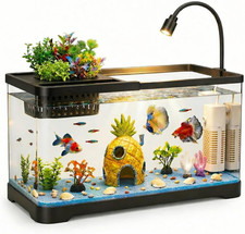 4 Gallon Fish Tank Aquarium Starter Kit with Filter and Light, All in One Small