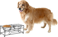 Set of 2 Stainless Steel Dog Bowls - 40Oz Pet Bowls with Decorative Dog Food Sta