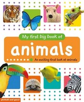 My First Big Book of Animals | Englisch | Taschenbuch | My First Big Books