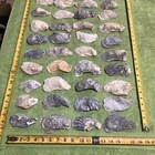 Lot of  44 Atlantic Oyster Shells 3.5 To 5 Inches Long Craft Art Collect ￼ — photo 3