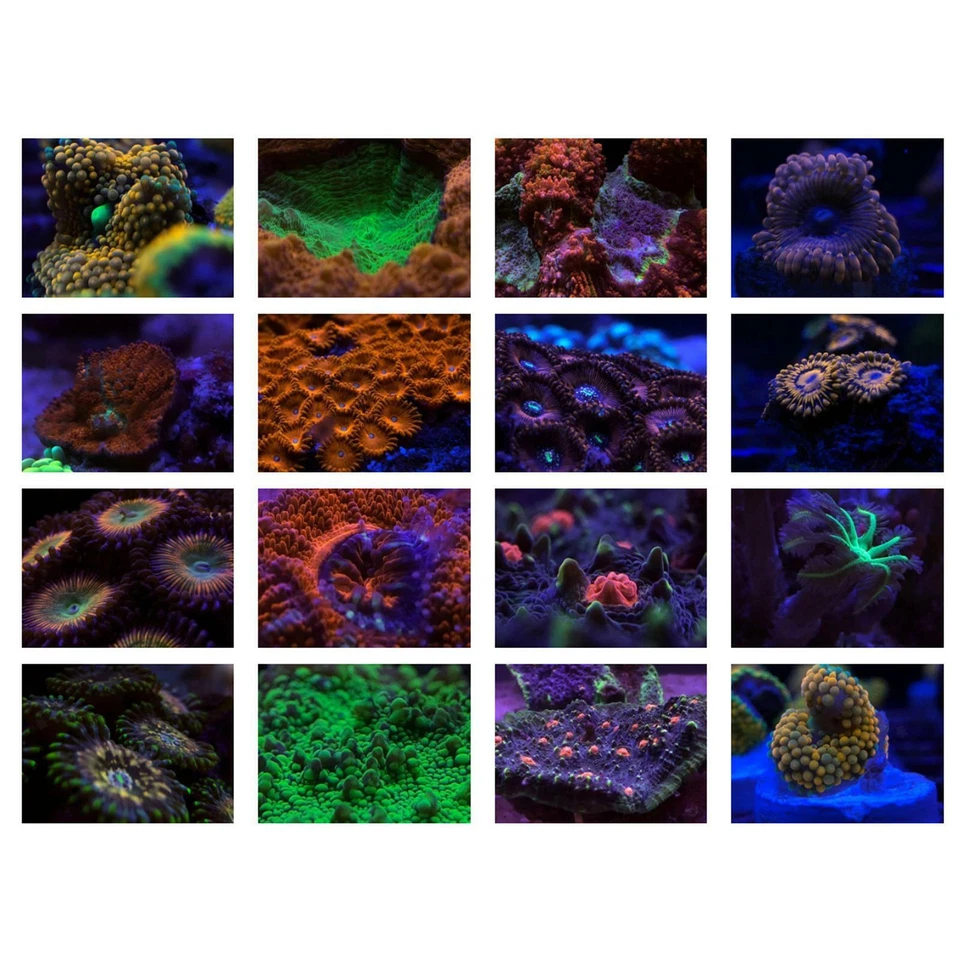 Coral lens filter kits 6 lens kit with lens clips + - Image 3 of 4