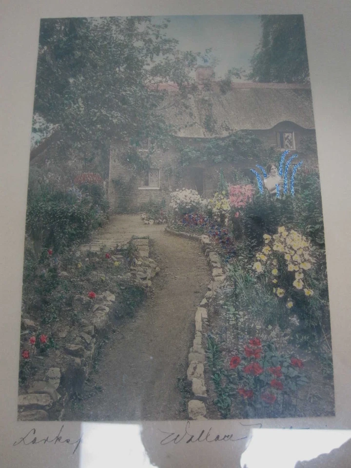 FOTOGRAFÍA ENMARCADA TEÑIDA A MANO WALLACE NUTTING "JARDÍN DE LARKSPUR" FIRMADA Foto 3 de 4