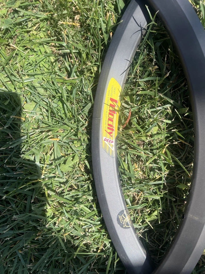 Ciocc 650 TT GT  Frame With New 650 c Black Velocity Rims - Image 3 of 4