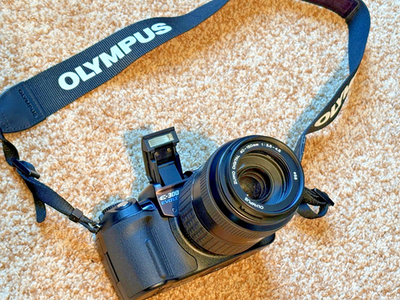 Olympus EVOLT E-300 8.0MP Digital SLR Camera - Black (Body Only