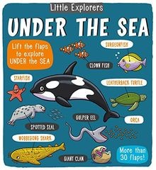 Little Explorers: Under the Sea von Little Bee Books | Buch | Zustand gut