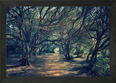 Verzauberter Waldweg, Spanien Insel gerahmtes Wandbild Poster Leinwanddruck Bild