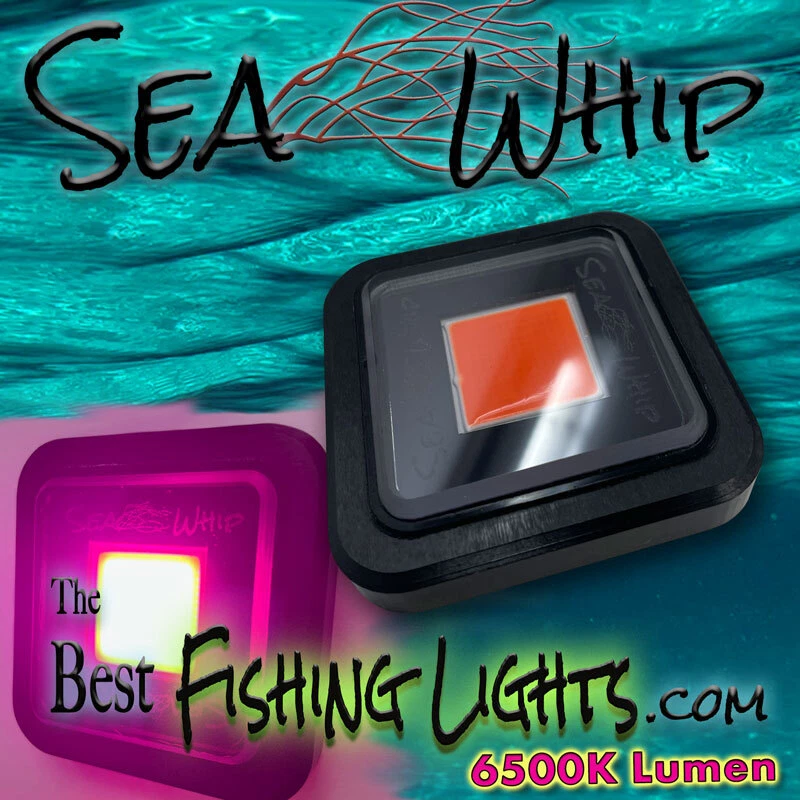 Full spectrum 2024 puck lights