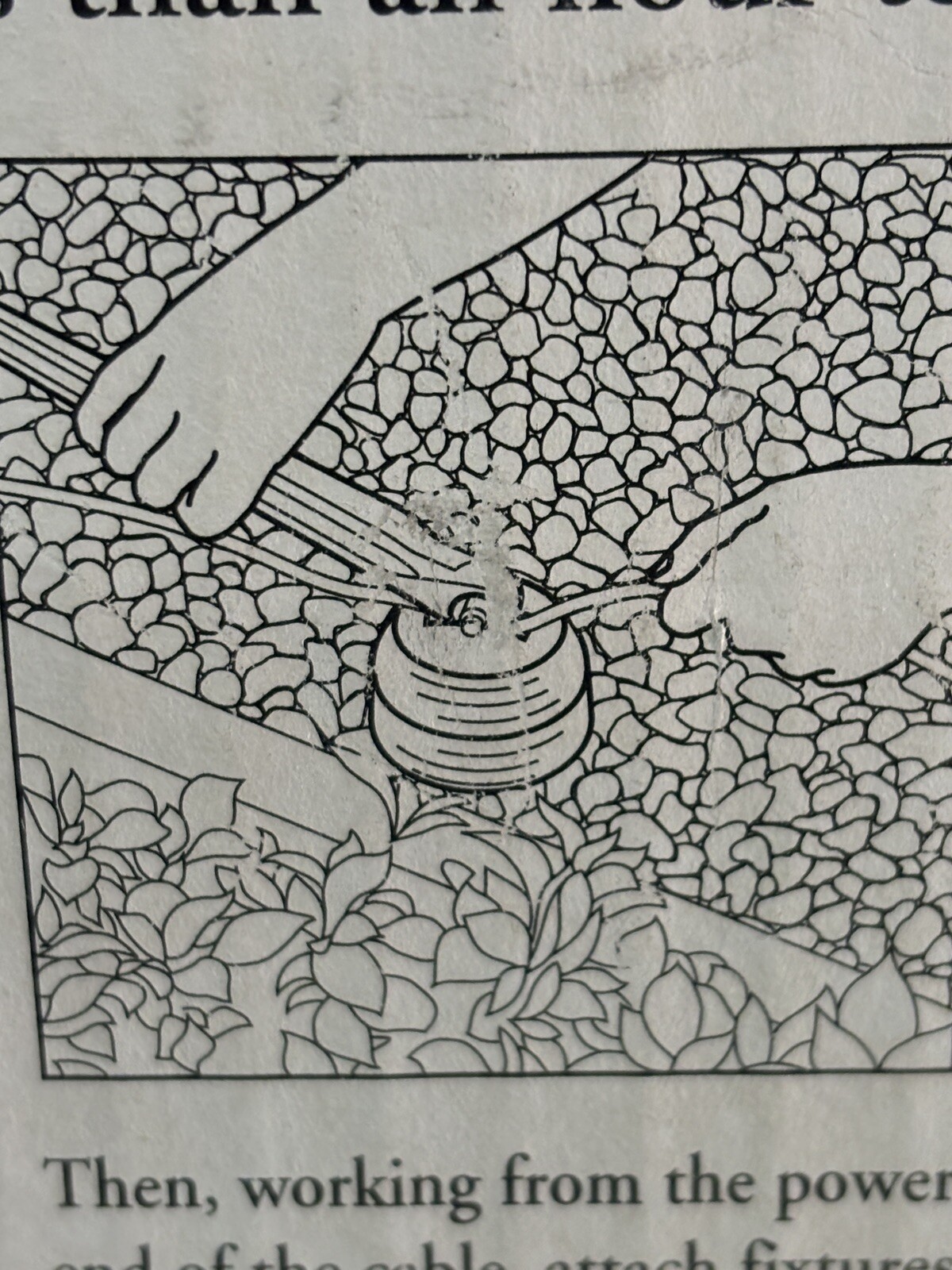 Picture 4 of 6