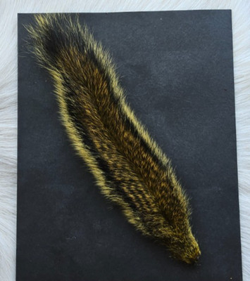 Squirrel Tail. (1)  Large Natural Grey Squirrel Tail Dyed In Color Yellow..