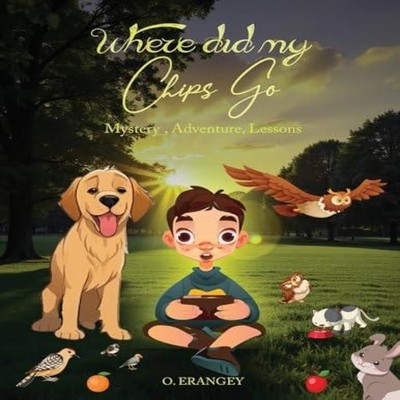 Where Did My Chips Go Olga Erangey Paperback Book Publication