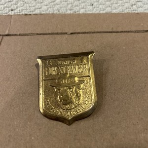 junior forest ranger pin