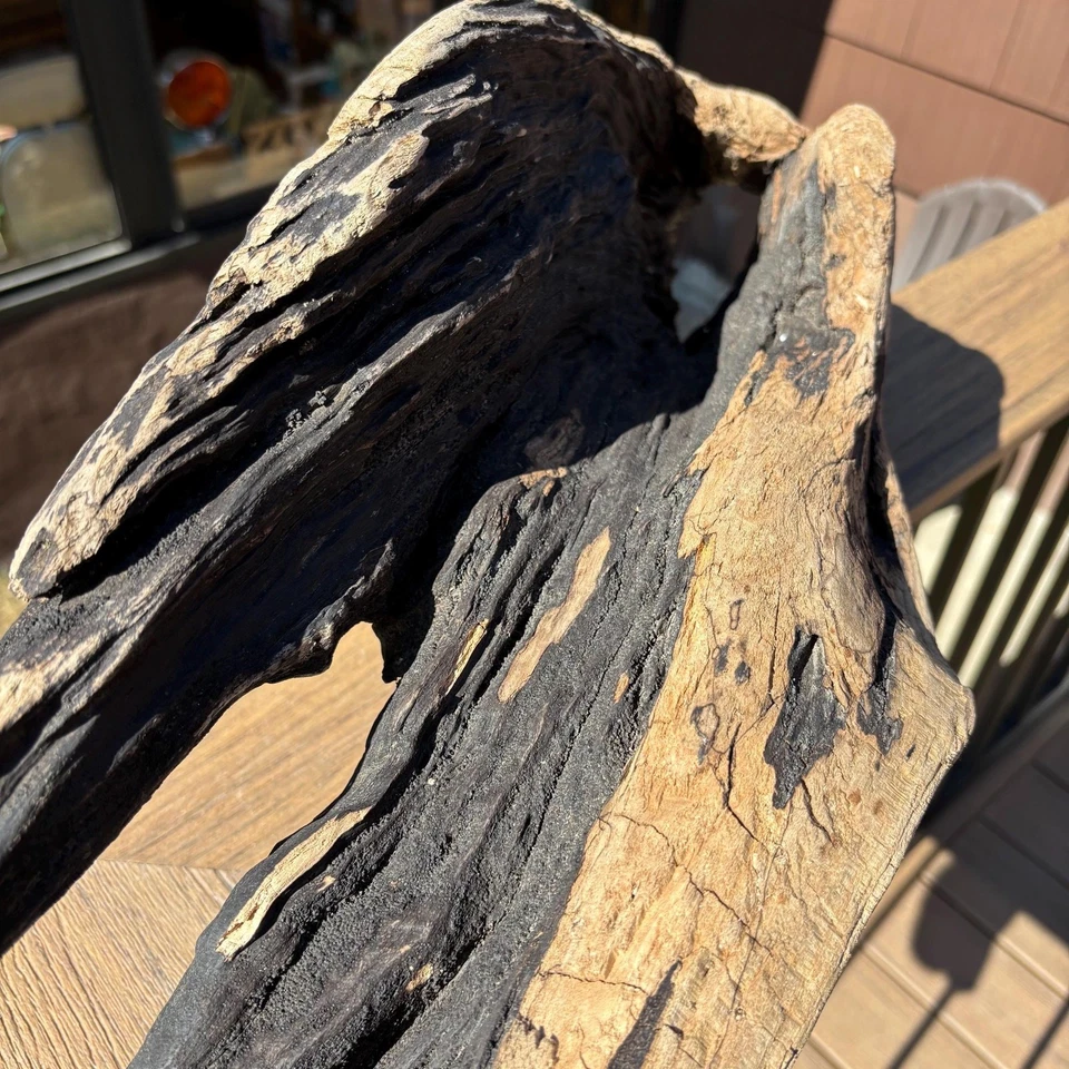 Large Driftwood Plant Holder 25x8x13 Hollow Center Black Tan Sculptural Wood - Image 4 of 4