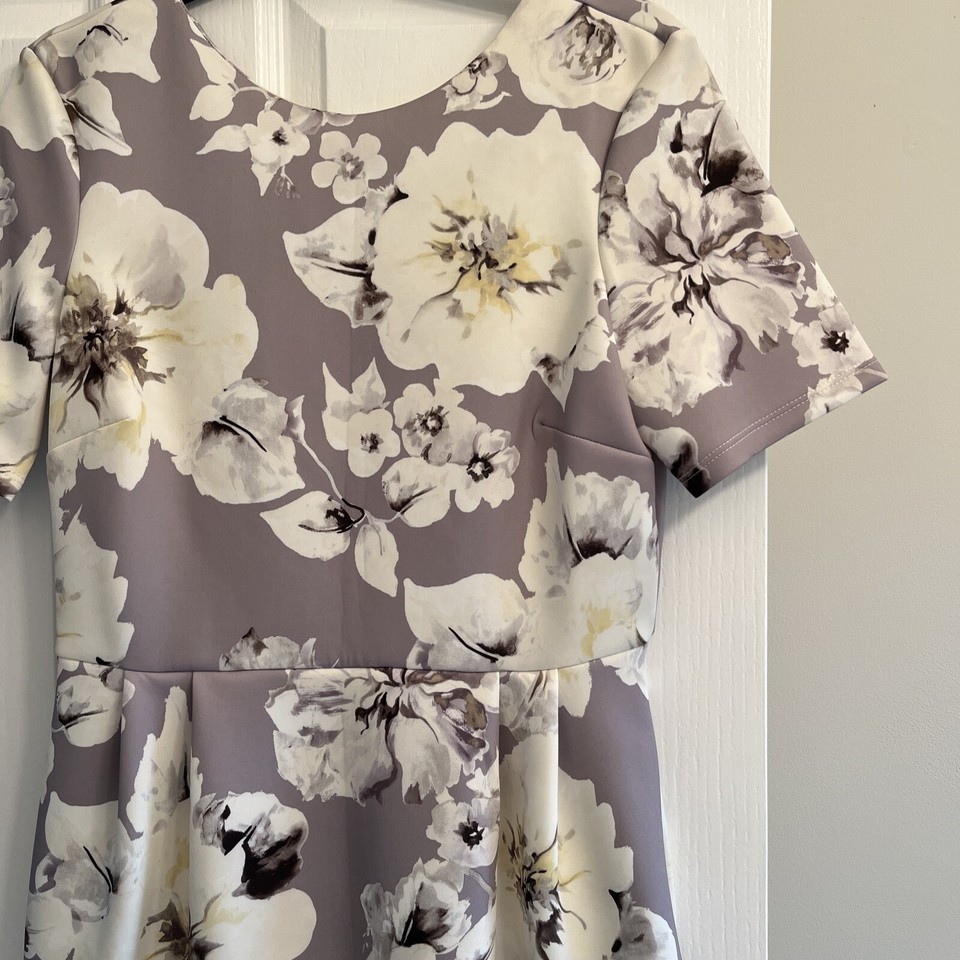 Asos dress size 14 summer wedding bnwt cream grey occasion floral eBay