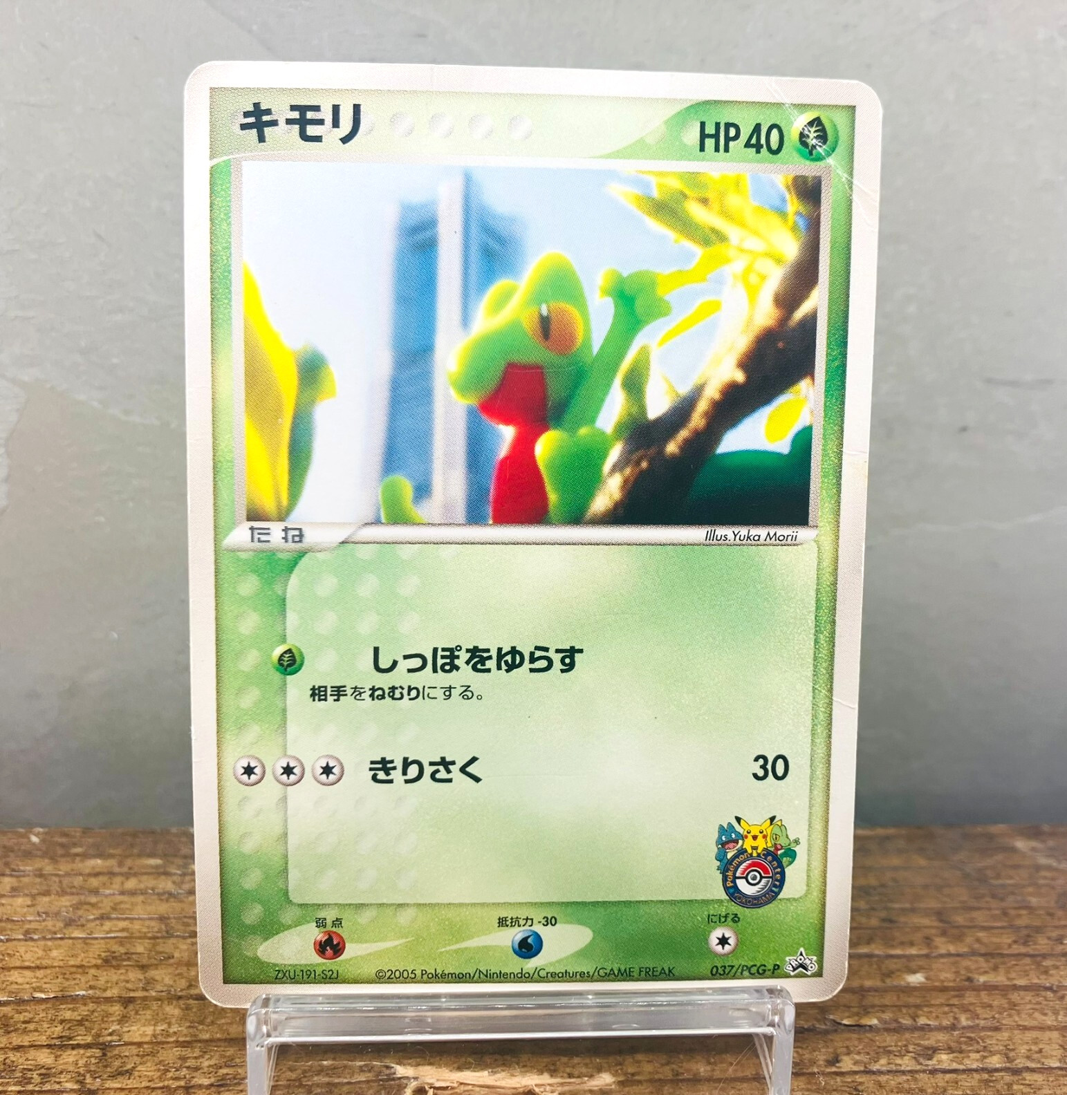 (HP) Treecko 037/PCG-P Pokemon Center Yokohama Promo Card 2005 Japanese