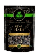 SAI HERBS Sapistan - Good for Healthy Lifestyle, Supports Overall Wellness