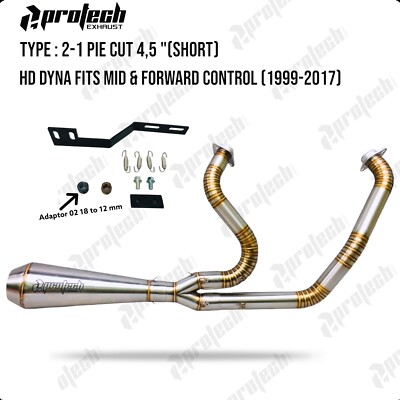 Auspuff 2008 Harley-Davidson Dyna Fat Bob FXDF