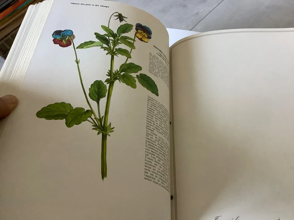 L’herbier de la Provence-Yves Paccalet/Yvan Audouard-Tchou/Laffont. - Photo 4/4