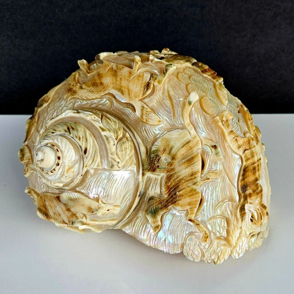 Antigua escultura vintage de concha de mar de caballos tallados con turbante verde turbo mármol Foto 2 de 4