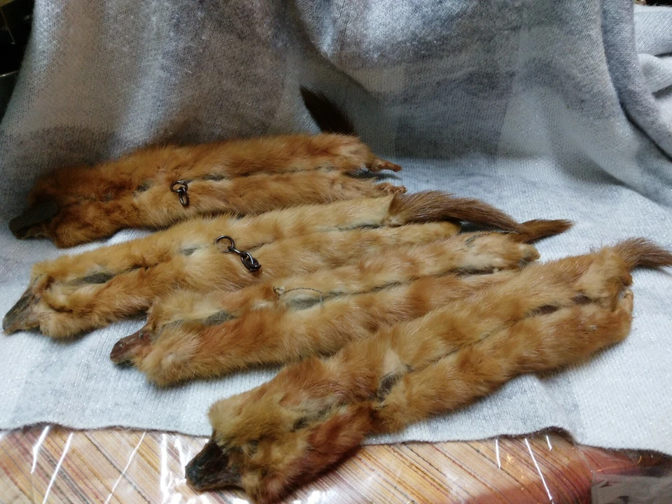 Juego de 4 BUFANDAS CHAL CUELLO PIEL MARTA VISÓN GENUINO VINTAGE Foto 3 de 4