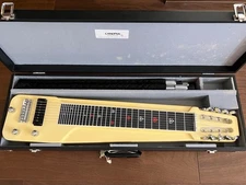CANOPUS 8-String Steel Guitar with Hard Case – Fully Functional