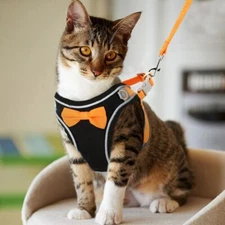 Cat Harness Leash Set Breathable Chest Vest Small Pet Cats Dogs Chihuahua Yorkie