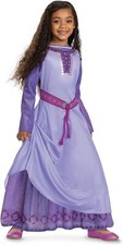Asha Deluxe Disney Wish Purple Fancy Dress Up Halloween Child Costume