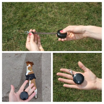 small retractable leash