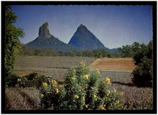 Postcard RPPC - Glasshouse Mountains, Sunshine Coast, Queensland, QLD