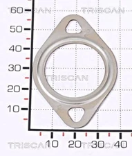 TRISCAN Gasket Seal 059131797G