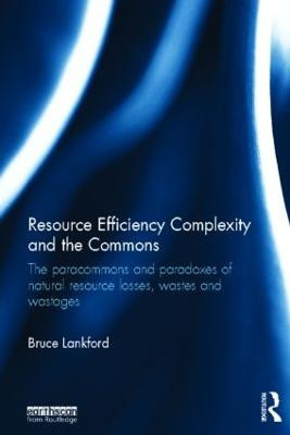 Ressourceneffizienz Komplexität und Commons - 9780415828468