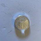 2006 American Silver Eagle Burnished .999 Fine In Capsule