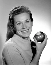 Zale Parry TV actress scuba diver deep water diver She poses for a- Old Photo 1