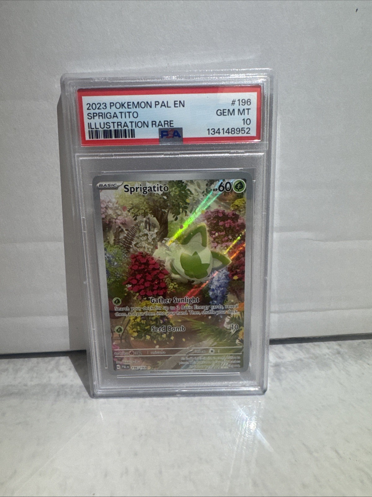 Pokemon Sprigatito Paldea Evolved 196/193 Illustration Rare PSA 10 Gem Mint