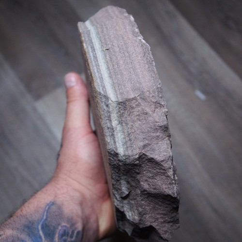 2,7 kg. Fósiles de medusas Eldonia berbera área de Mecissi Marruecos - Imagen 6 de 9