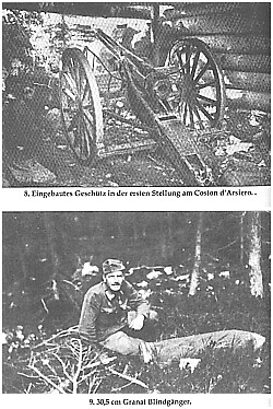 Thumbnail - Saffert: Mit Der Edelweiß-divison Bis Zum Monte Cimone Alpenkrieg/1.