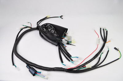 Kabelbaum  Jinling Jla 21b 250ccm China Quad ATV Jingling Elektrik