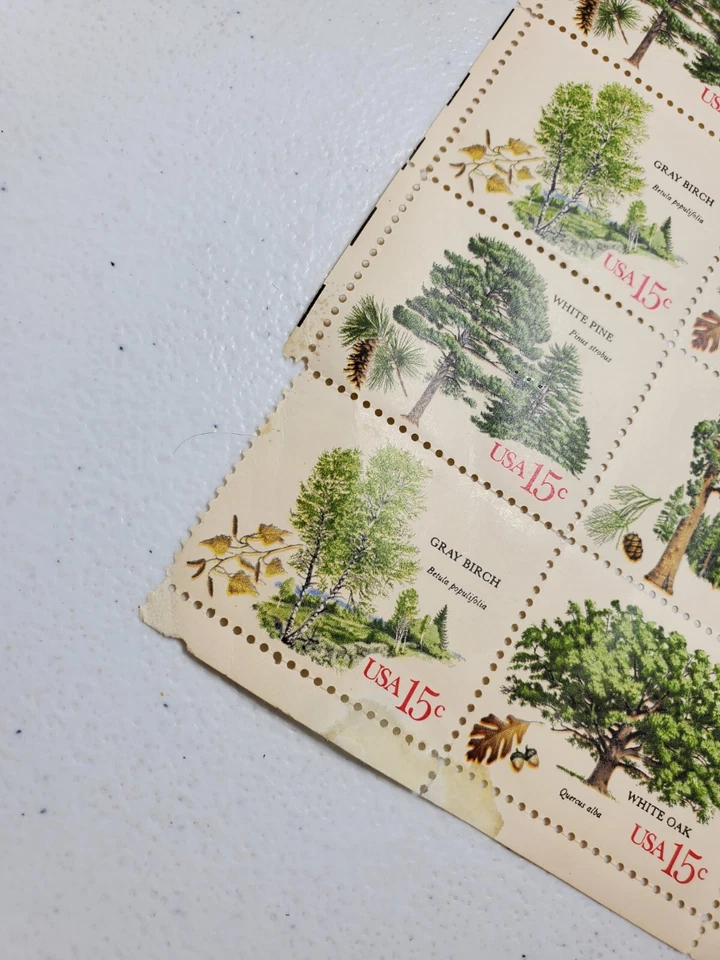 Vintage Issued 1978 American Trees  15 Cent Stamp Sheet - Image 2 of 4
