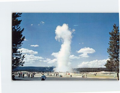 #ad Postcard Old Faithful Geyser Yellowstone National Park Wyoming USA $4.95