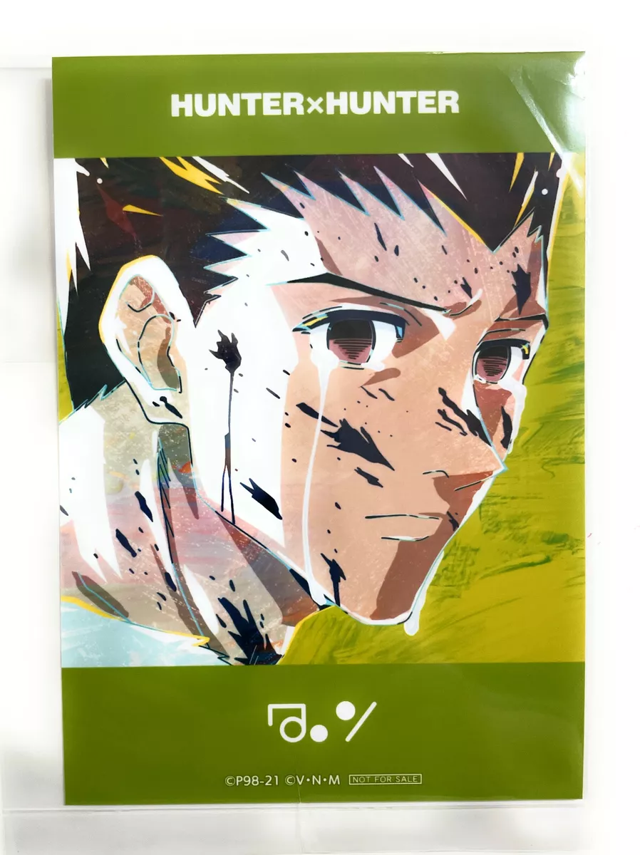 Kite Hunter X Hunter Anime NEW Paint By Numbers - Numeral Paint Kit