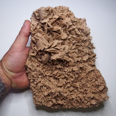 2kg Natural Crystal Stone Desert Rose Morocco Specimen Decoration