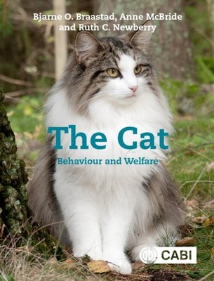 CAT THE 2E by BRAASTAD, BJARNE O Paperback Self Help Business
