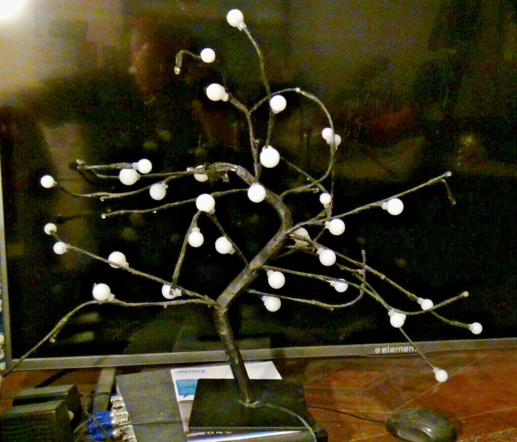 Picture 3 of 24